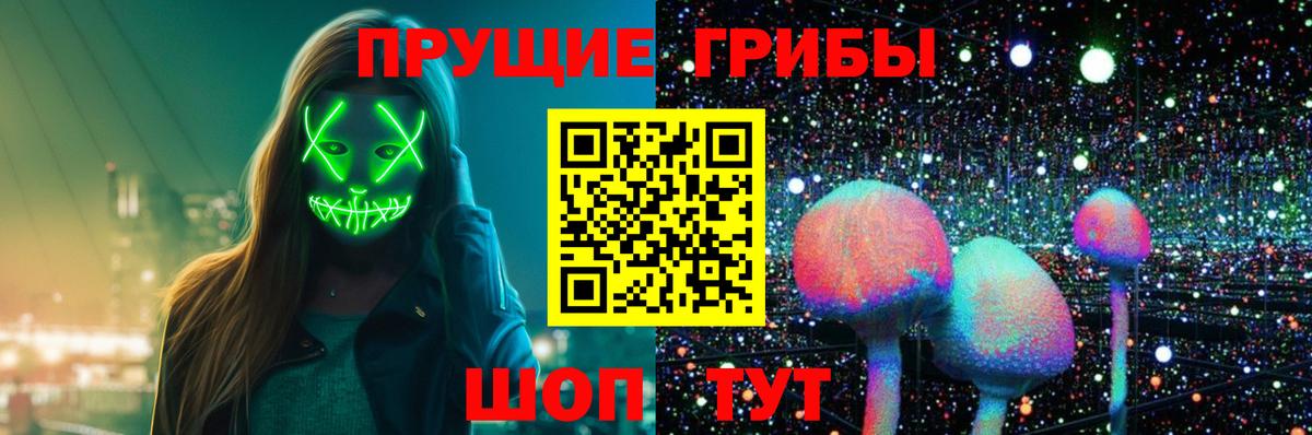 что такое наркотик  Вход с VPN  Сегежа  Псилоцибиновые грибы мухоморы 